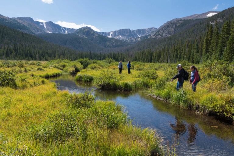 Students at CSU's Mountain Campus