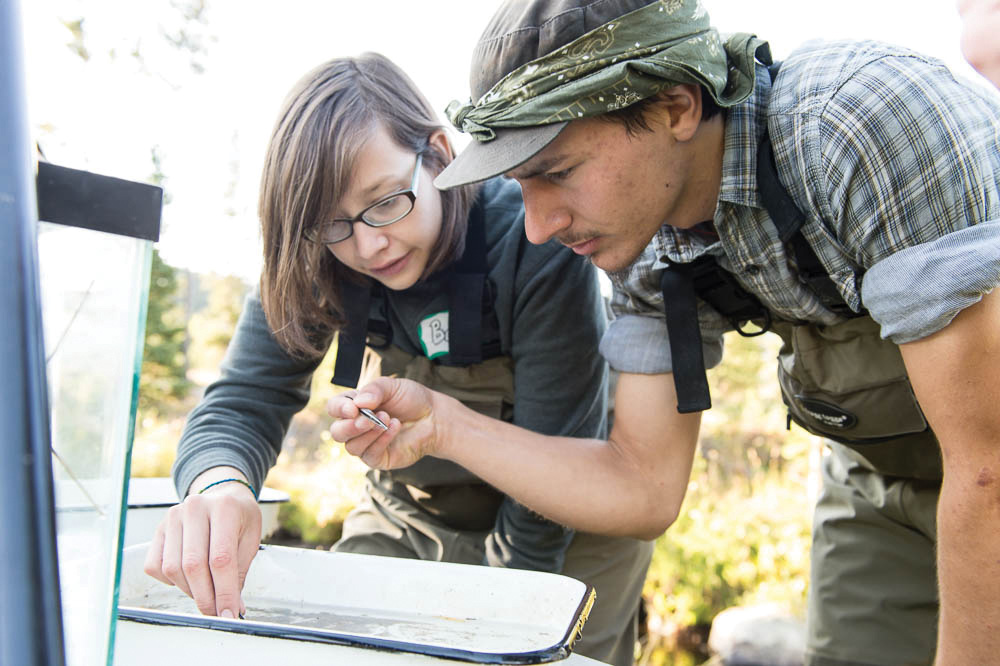 Professor Helping a Student in an Outdoor Class