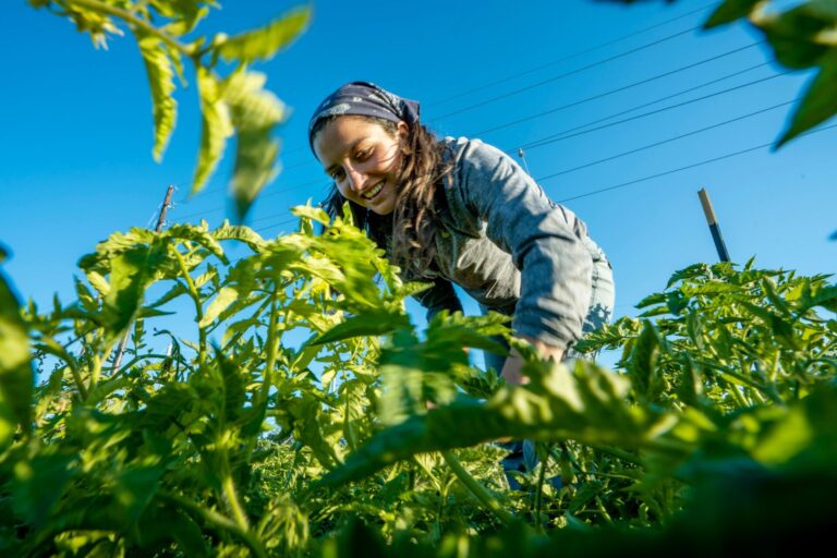 Students and staff from the Growing Food Security program